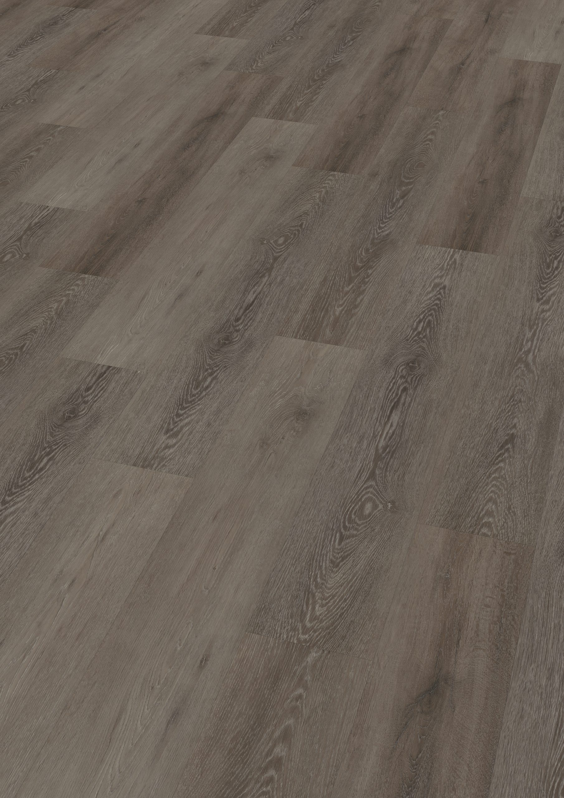 Cerused Oak Dark Brown