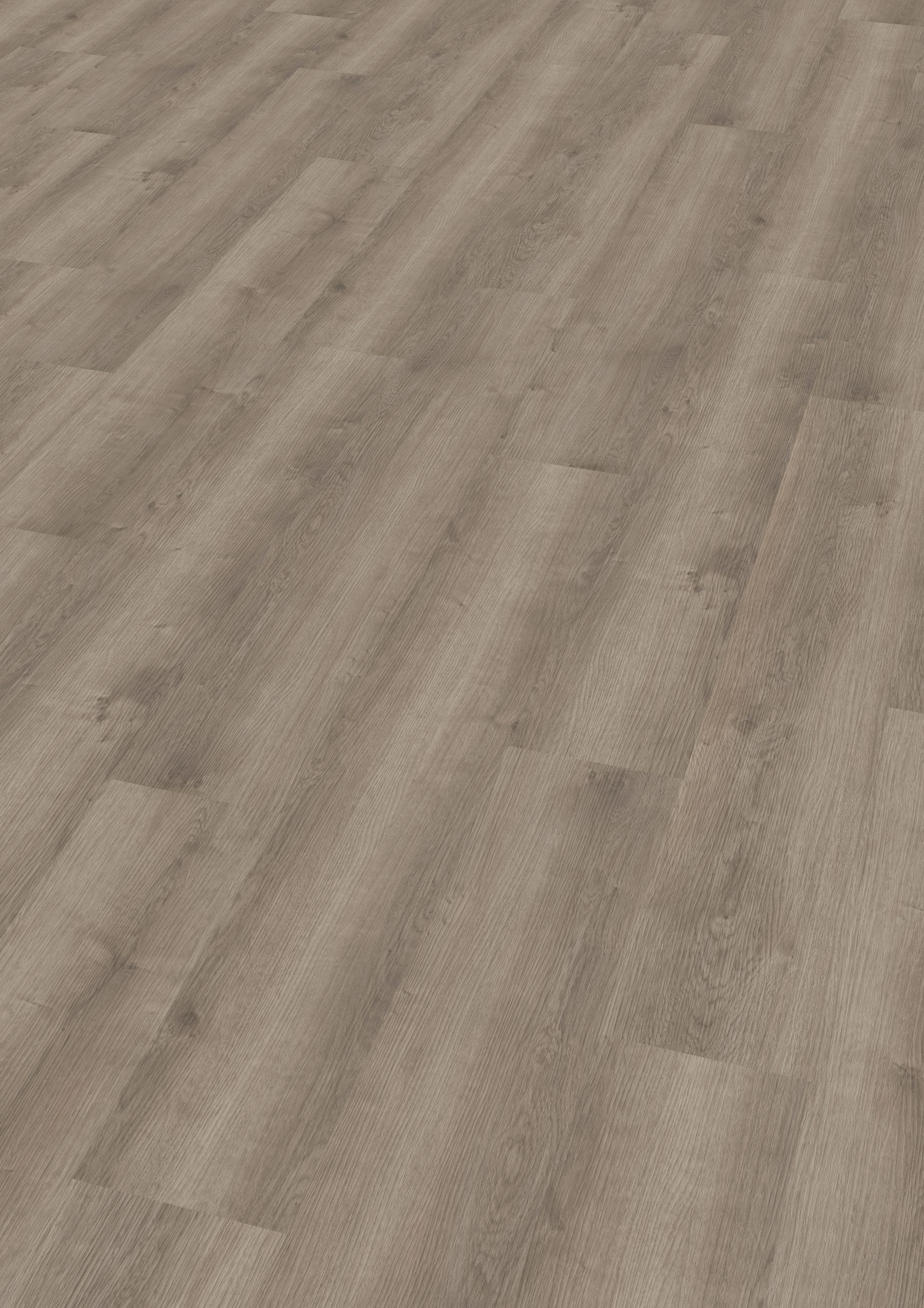 Noble Oak Greige