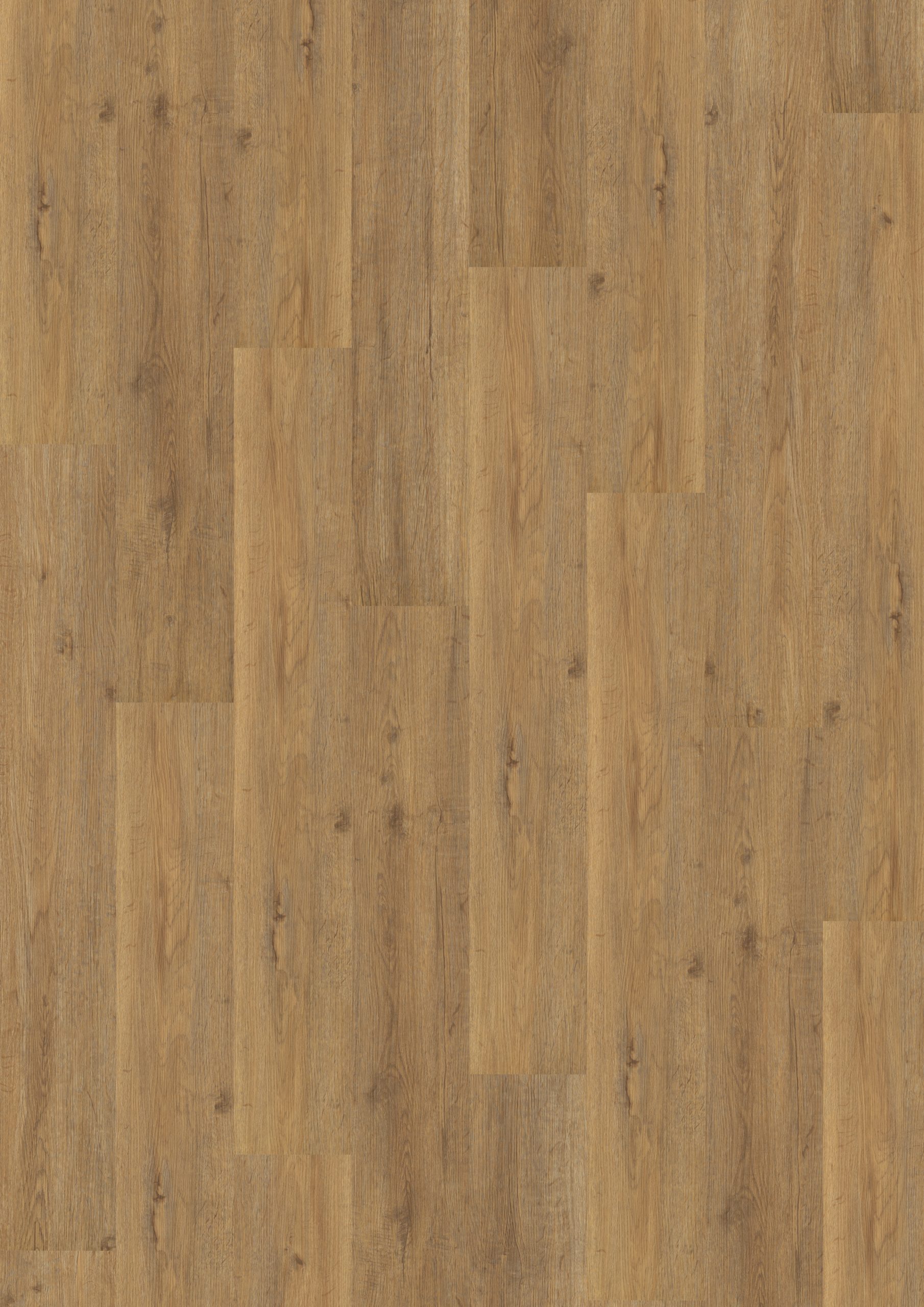Royal Natural Oak
